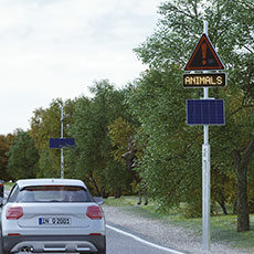 detection-faune-lacroix-city