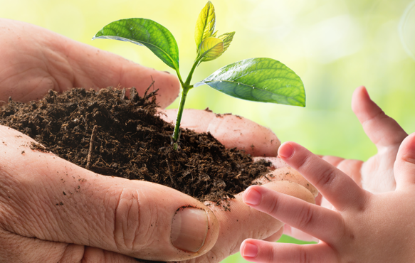 Política_responsabilidad